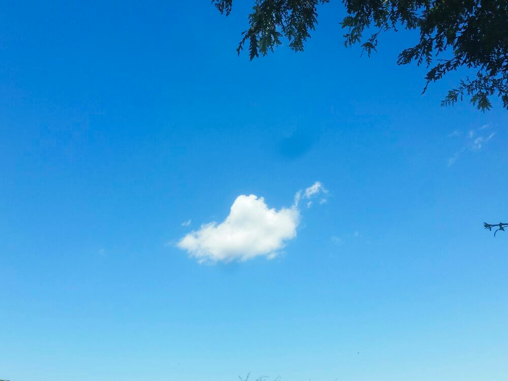 nuvola Cammino Francesco 2016